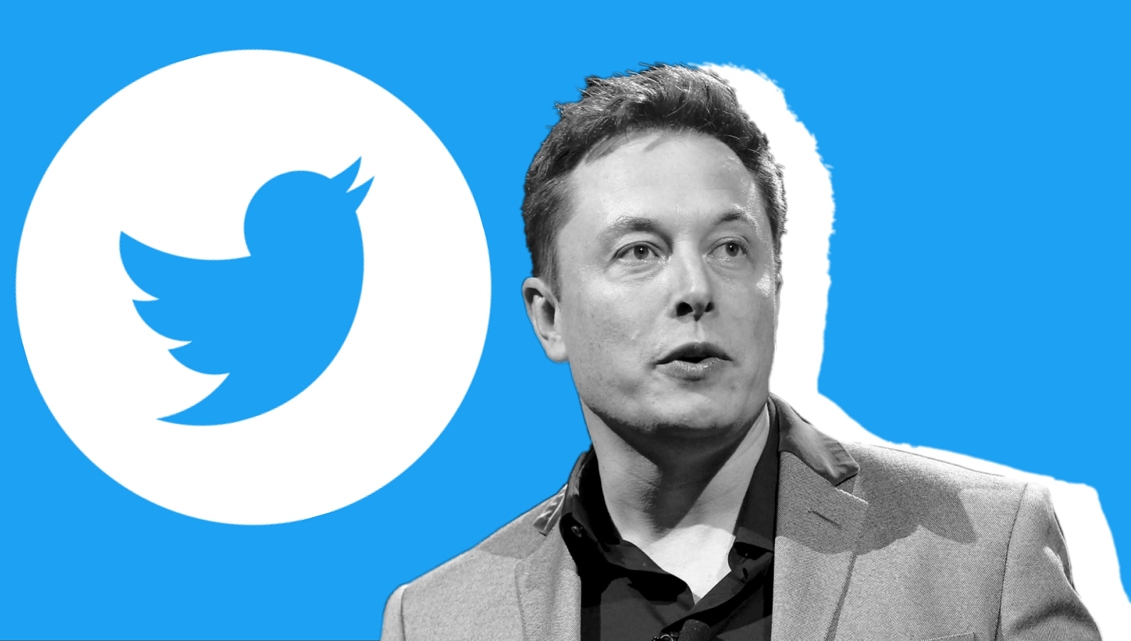 Após reclamar do Twitter, Elon Musk vira sócio majoritário da rede social